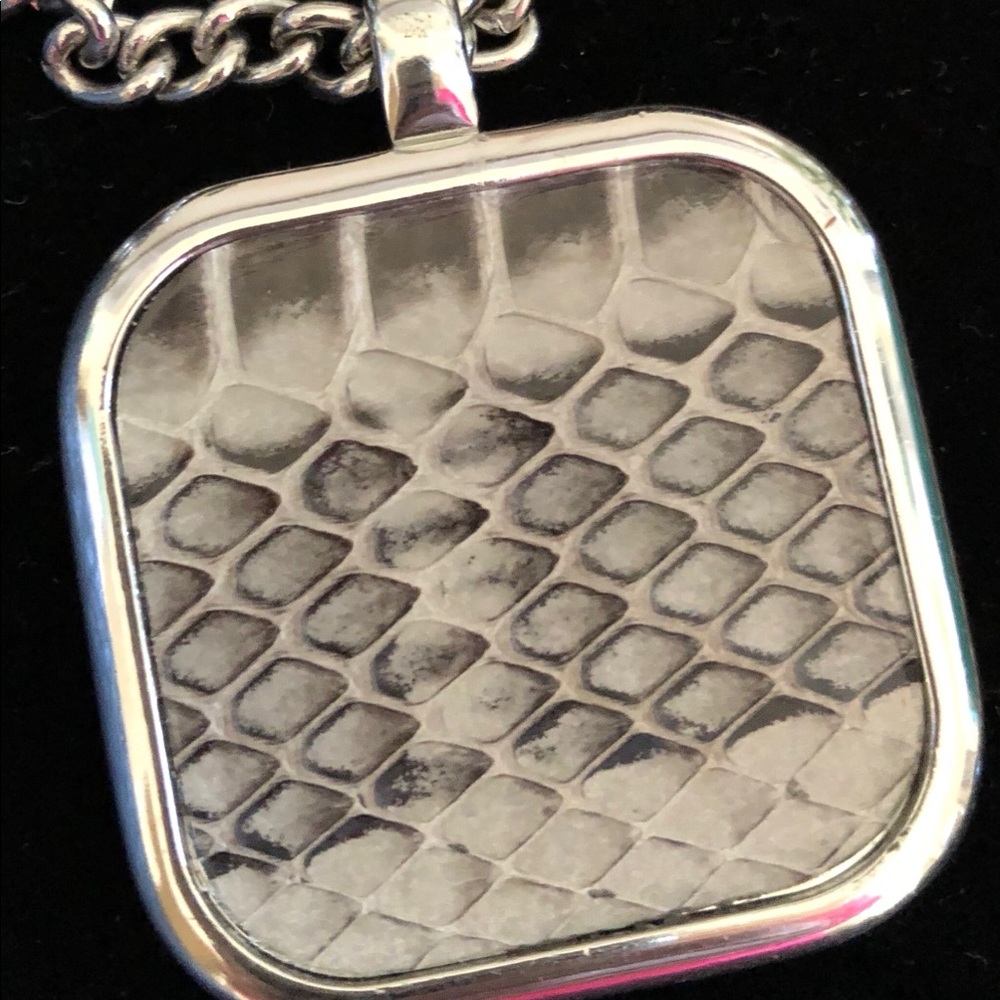 Ann Taylor Silver Chain Python Pendant - image 4